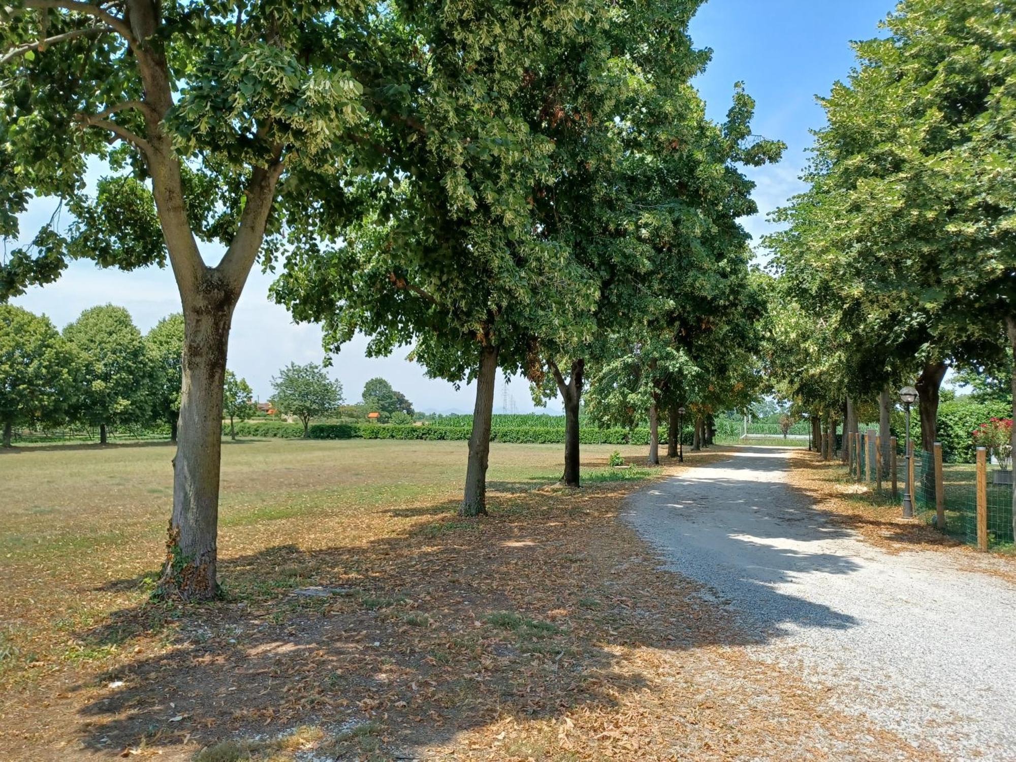Farm stay Agrituristico Zambon *